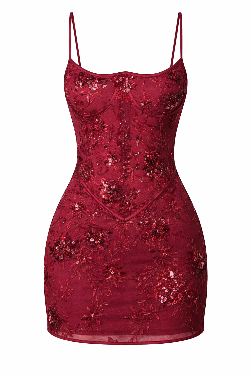 Crimson Rose Embroidered Corset Dress